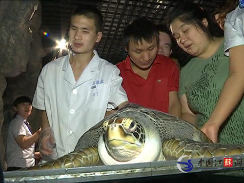 徐州水族馆邀请盲人学生零距离感触海洋生物