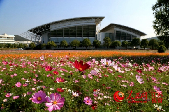 南京中医药大学仙林校区花海如潮