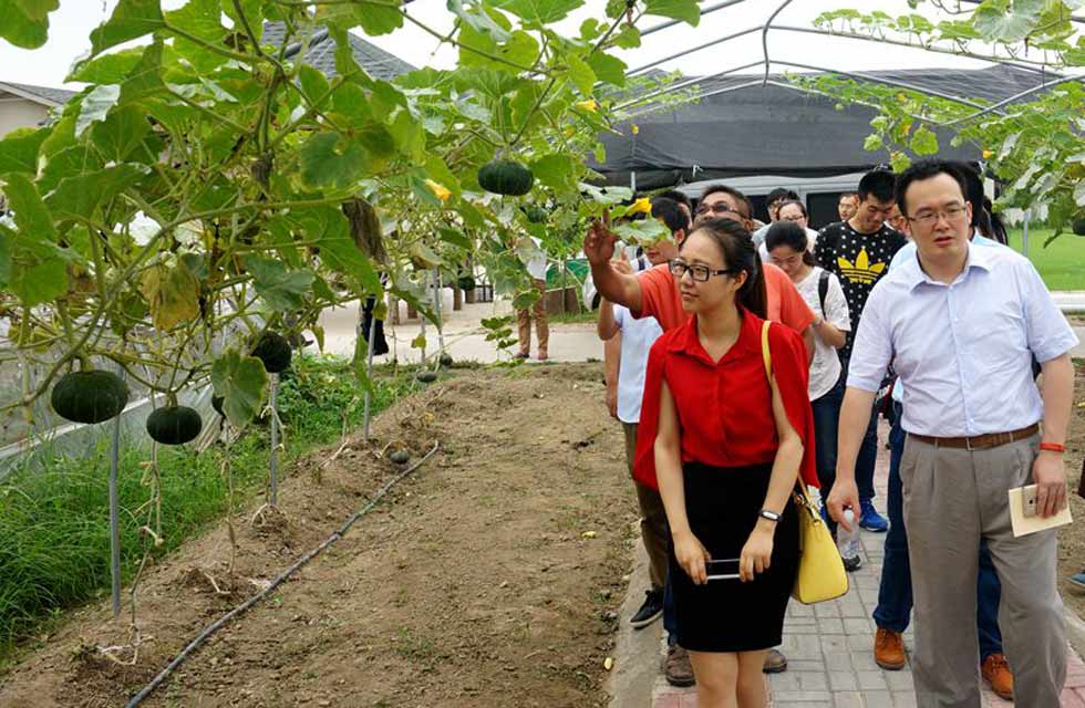 媒体记者参观农业创业园