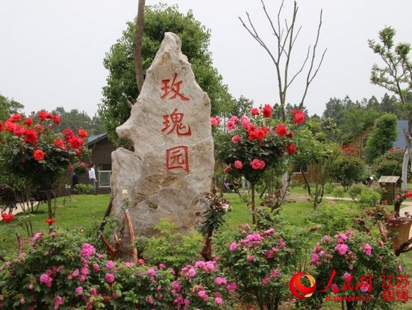 �n�ʷ̤��������顨 �x�责��