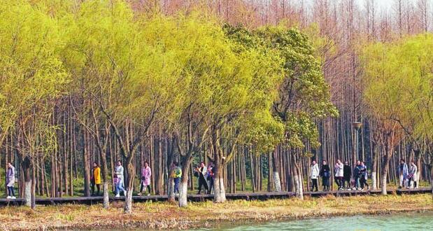 天气回暖 无锡市民蠡湖岸边踏青游玩