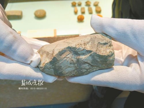 盐城市博物馆展出阜宁东园出土4600年前棺木