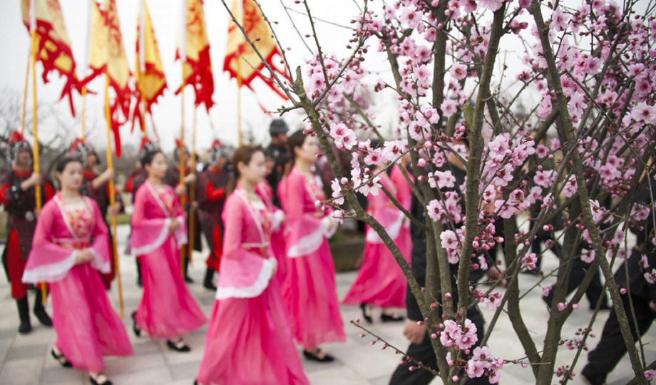 2017中国大丰第二届梅花文化节