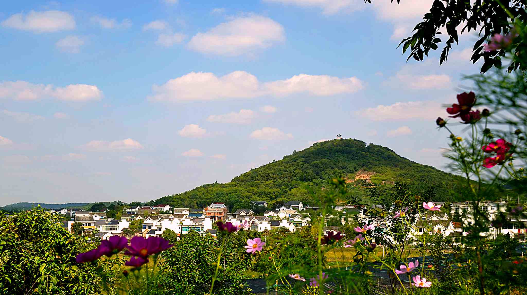 第九届中国·高淳国际慢城金花旅游