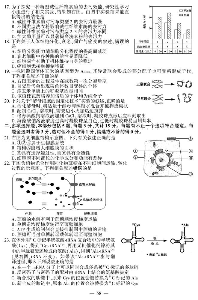 江苏教育考试网官网