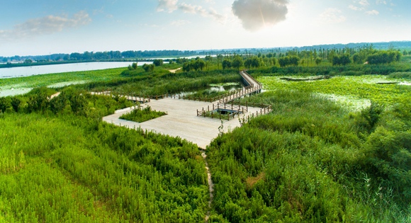 江苏徐州沛县旅游景点:安国湖湿地