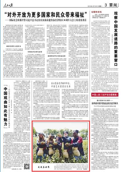 人民日报:江苏留学生走进茶世界