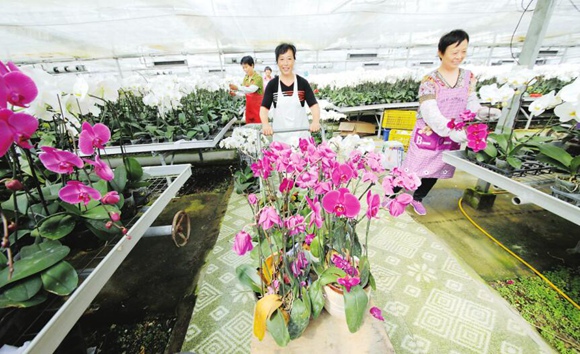 淮安发展绿色产业 优化农业种植结构保护环境