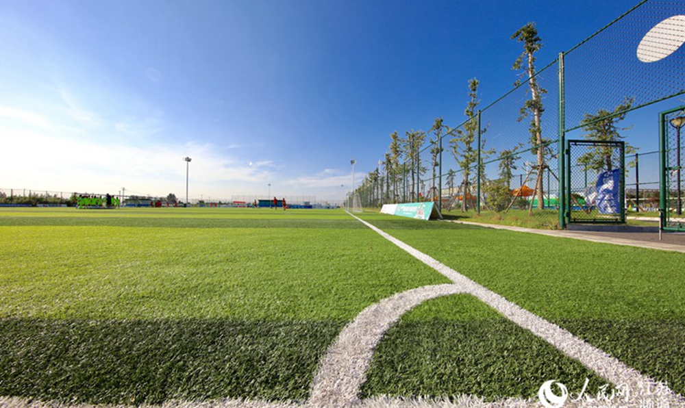 南通海门:绿茵场上训练忙 足球小镇“种”梦想