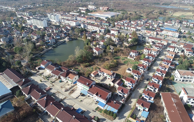 雷州市杨家镇安苗村人口_湛江市雷州市杨家中学(3)