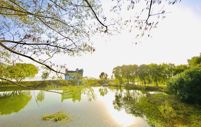 盐城基地游玩攻略,盐城基地游玩攻略一日游