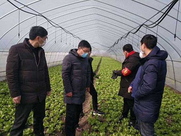 兴化市组织农技人员到田间地头对种植户进行技术指导