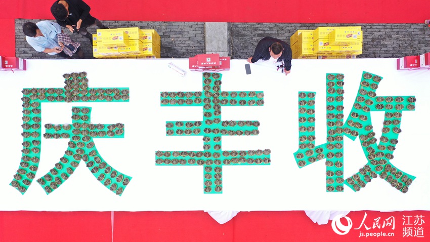在第十五屆中國洪澤湖國際大閘蟹節現場，當地蟹農別出心裁用一隻隻螃蟹擺出“慶豐收”的字樣。洪澤區委宣傳部供圖