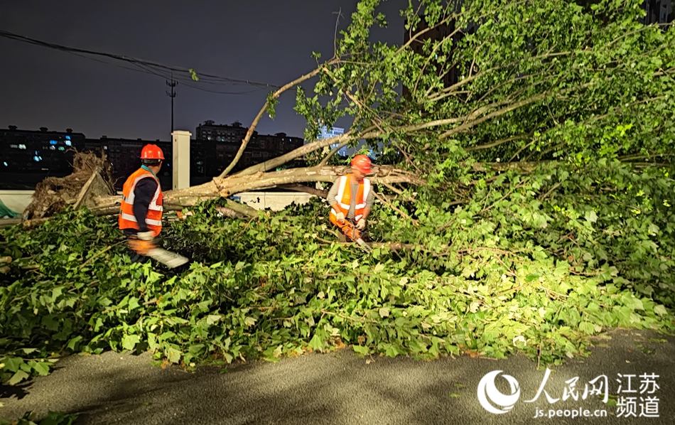 救援人員清理道路上倒伏的樹木。人民網記者 王繼亮攝