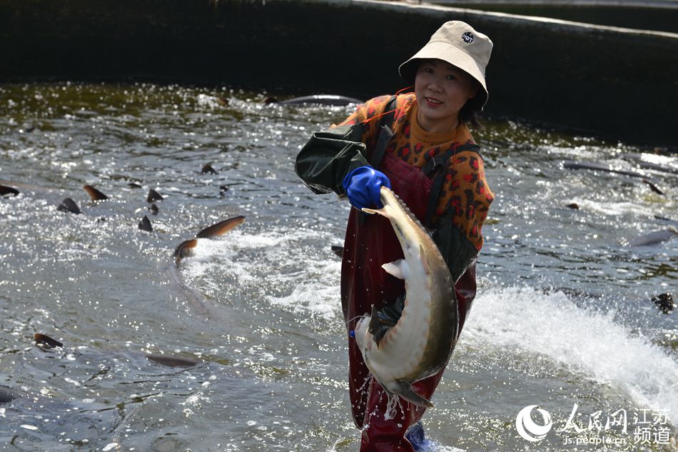 王广辉的妻子正忙着捕鱼、分池。王春生摄