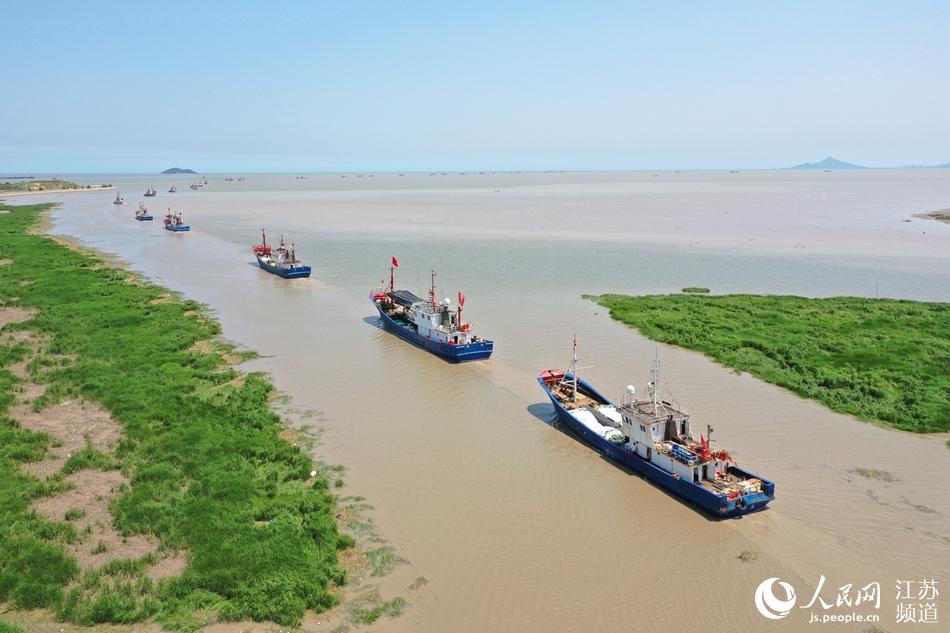 連雲港贛榆區青口中心漁港漁船拔錨起航，駛向作業海域。司偉攝
