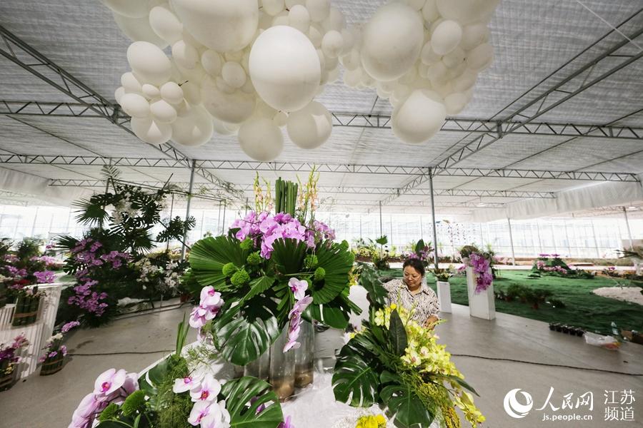 气球为蝴蝶兰展区烘托节庆气氛。 人民网 马焘焘摄