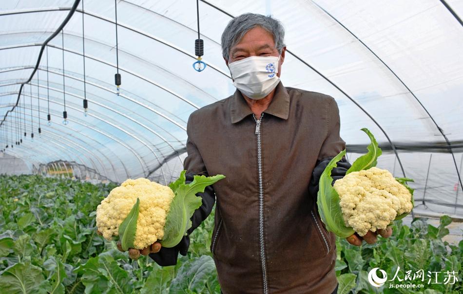 锡山区锡北镇种植户展示收获的蔬菜。陈惠初摄