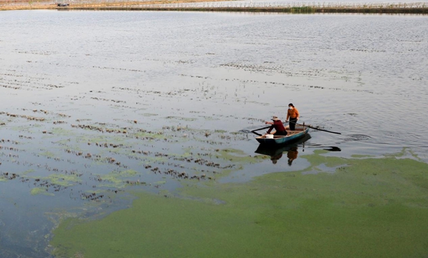 瑞沃稻虾综合种养基地技术人员在查看小龙虾生长情况。东海县委宣传部供图