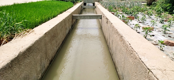 村民在利用渠道等设施抗旱保水。灌云县委宣传部供图