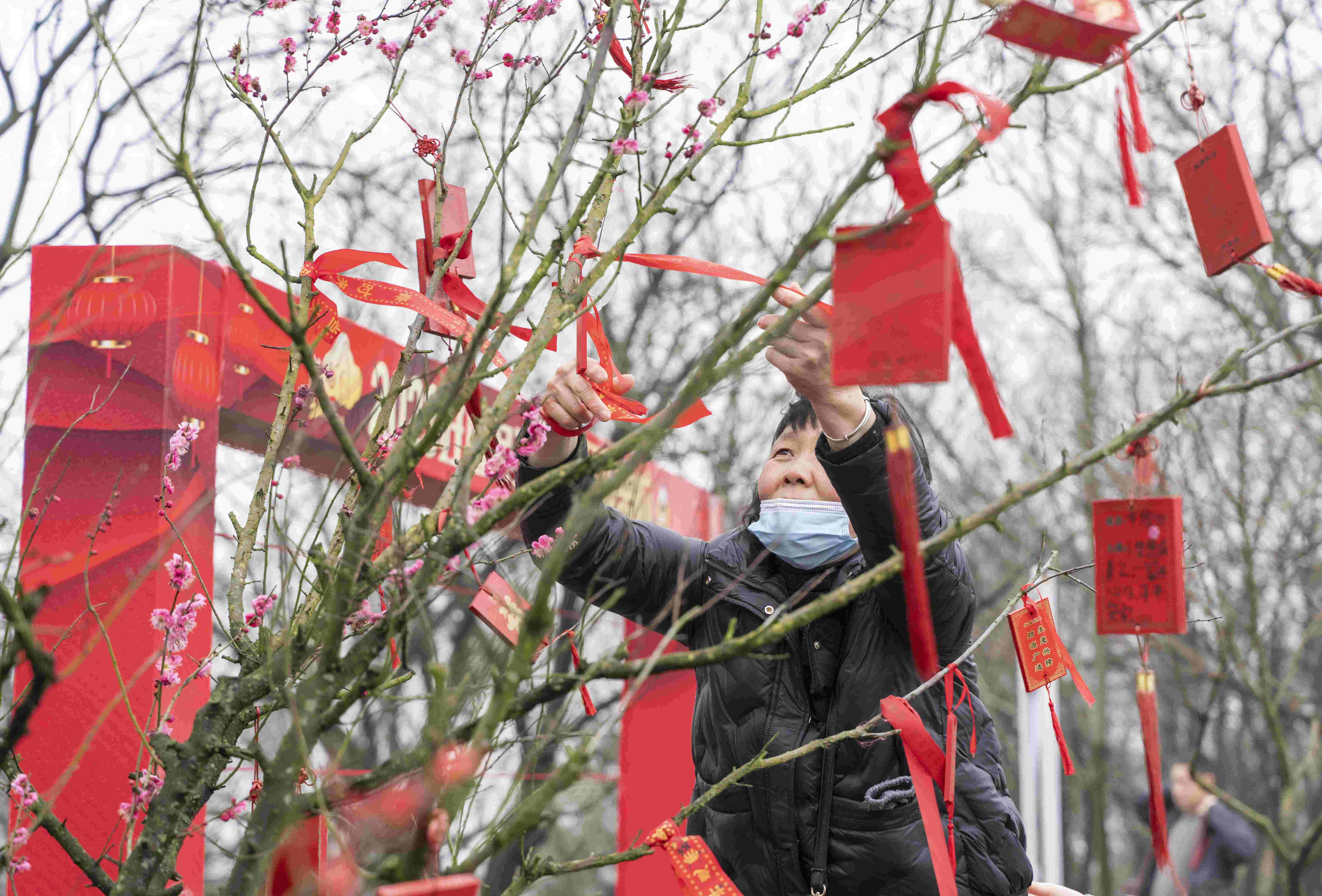 来“晒霉”的市民游客将许愿牌悬挂于树上。刘列摄