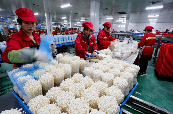 一家食用菌企业员工忙着包装产品。东海县委宣传部供图