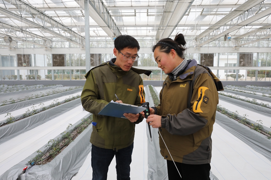 位于连云港市赣榆区的江苏雅士农场智慧大棚内，技术人员正在记录农作物生长数据。张南宁摄
