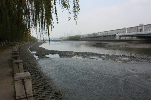 2011年，外秦淮河上河床淤积。秦淮河建设开发有限公司供图