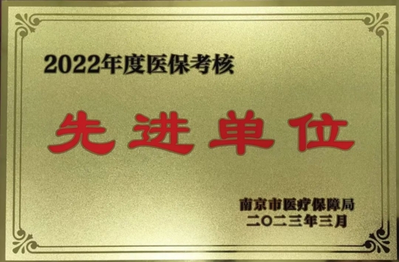 2022年度醫保考核先進工作。南京仁品醫院供圖