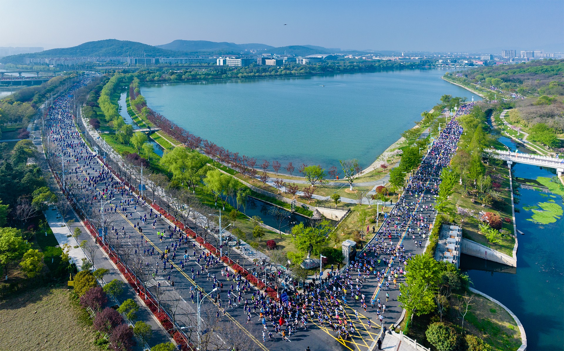 2023南京仙林半程马拉松开跑 1.2万跑者角逐“最美”赛道
