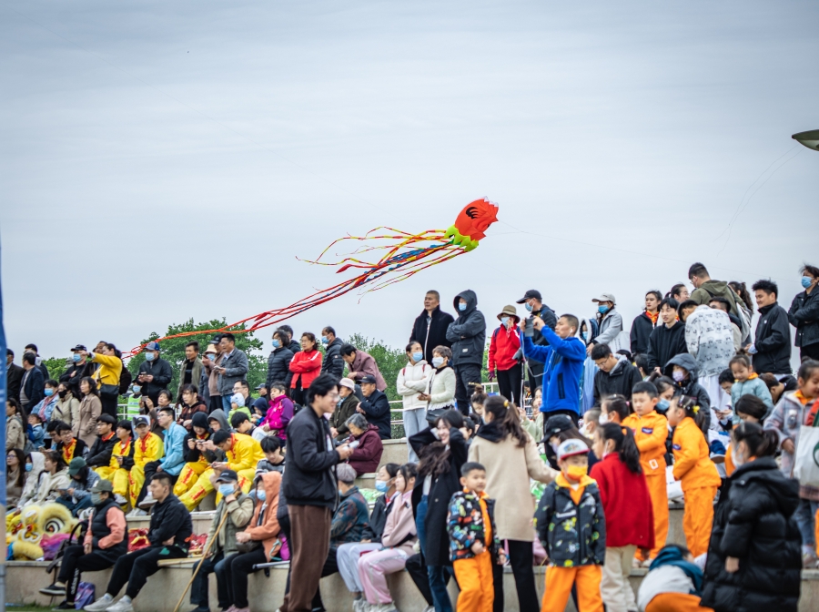 徐州市云龙区举办第六届大龙湖风筝节。孙博宇摄