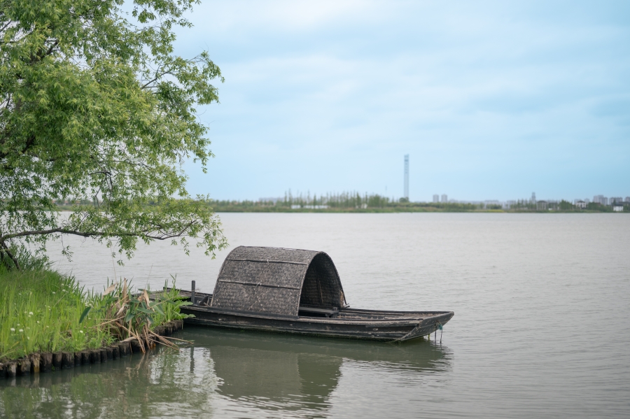 古朴的烏篷船停靠在湖岸。人民網 馬燾燾攝