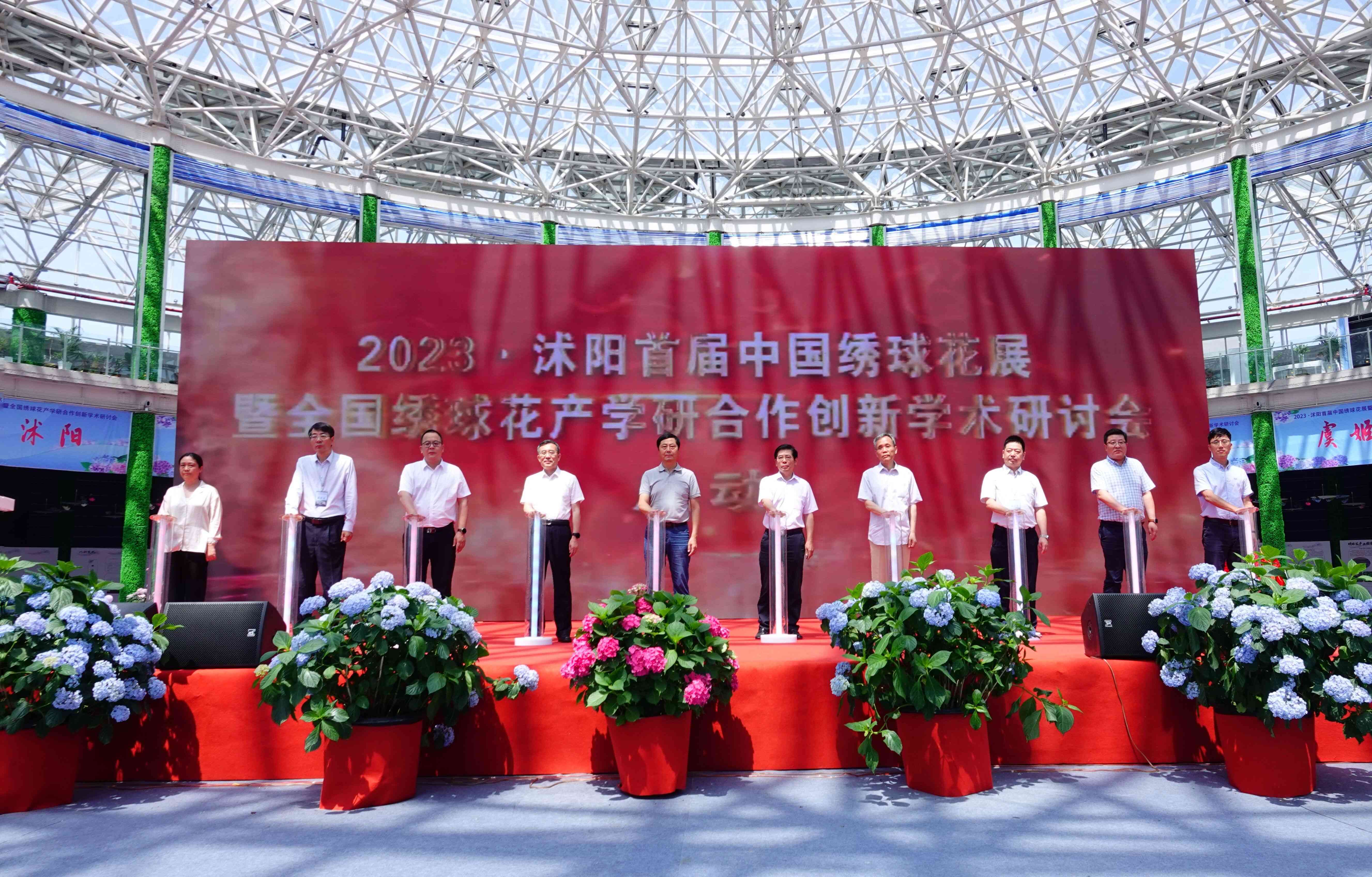 2023·沭陽首屆中國繡球花展現場。沭陽縣委宣傳部供圖