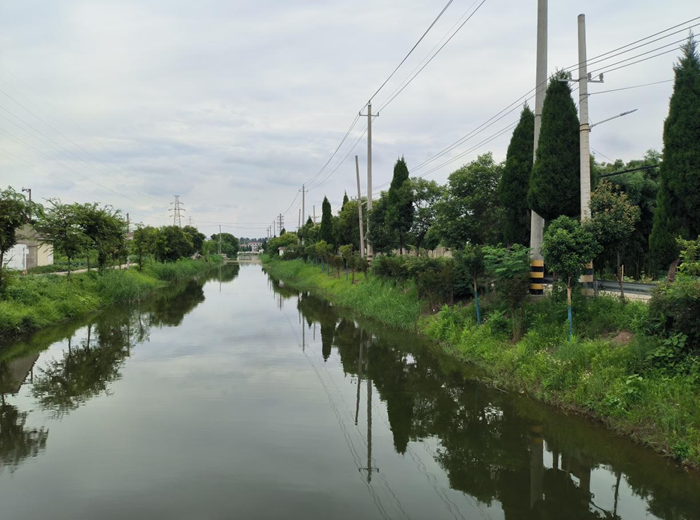 靖江市东兴镇上五圩的河道已清理完毕。 宣燕摄