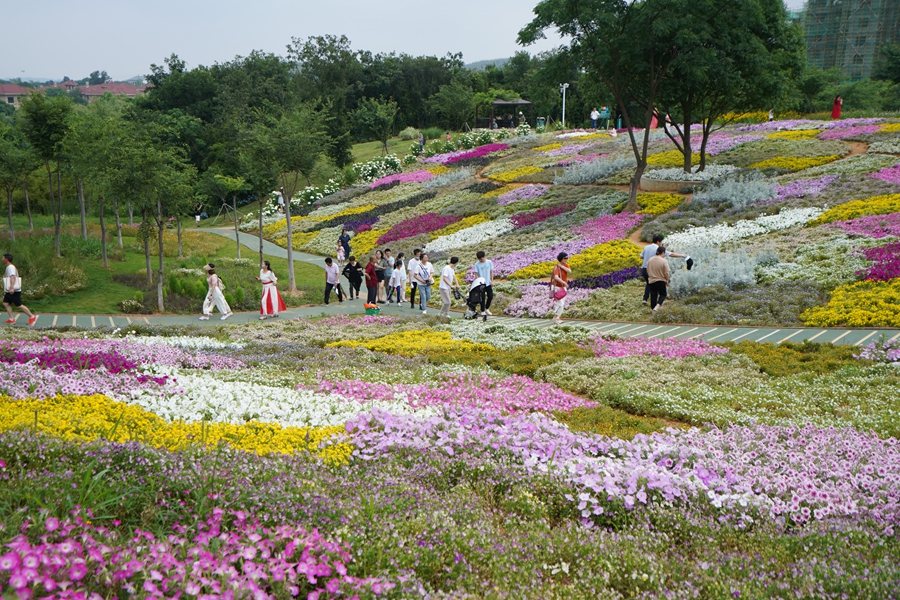 游客在花谷奇緣景區賞花。金壇茅山旅游度假區供圖