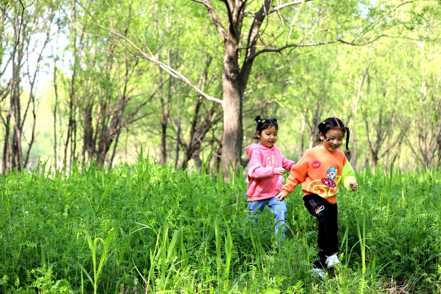 柳树湾湿地公园里孩子正在玩耍。金湖县委宣传部供图