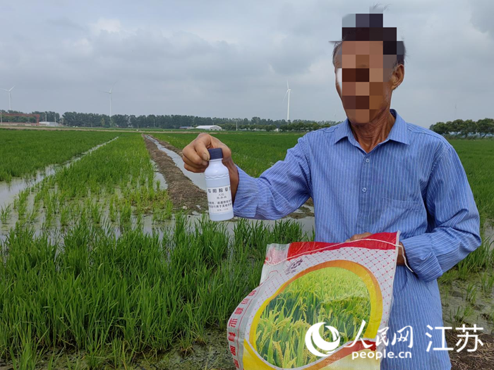 种植户展示其使用的农药，背后是补种后的稻田。 人民网记者 张玉峰摄