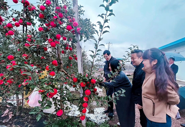 中行江蘇省分行赴咸陽北四縣考察援建項目。中行江蘇省分行供圖