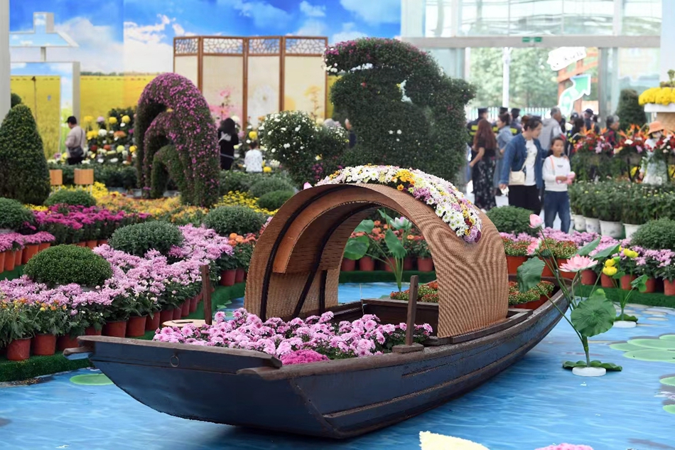 水乡特色的菊花作品。万程鹏摄