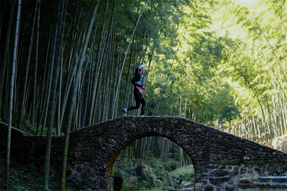 選手從郁郁蔥蔥的竹林跑過。 宜宣攝