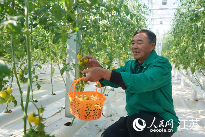 村民刘炜连正在采摘园干着农活。人民网记者王继亮摄