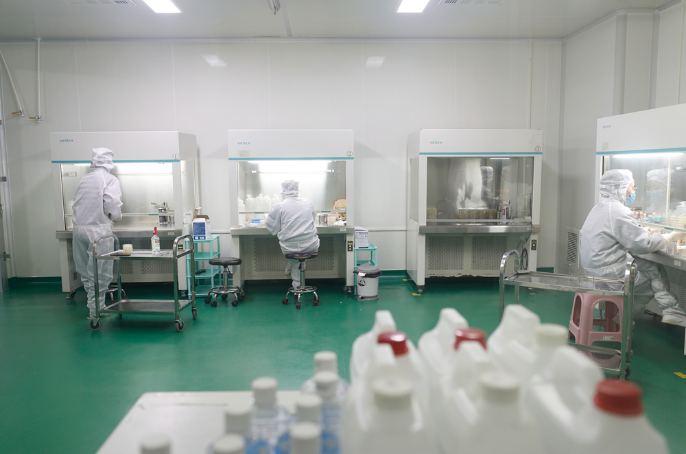 江蘇省泗陽縣綠生物科技股份有限公司科創中心內，技術人員在實驗室內忙碌。