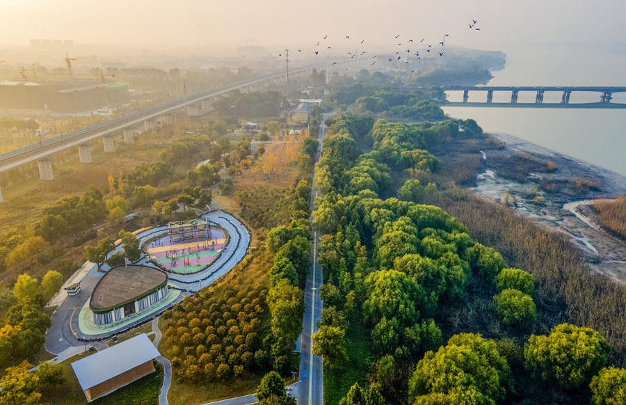 “七河八岛”成为城市生态中心。扬州生态科技新城供图