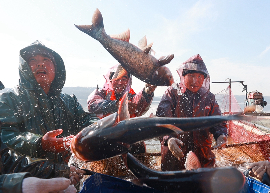 盱眙縣龍王山水庫拉網起魚。許昌銀攝