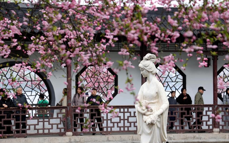 最美海棠季上线 南京莫愁湖公园游人如织