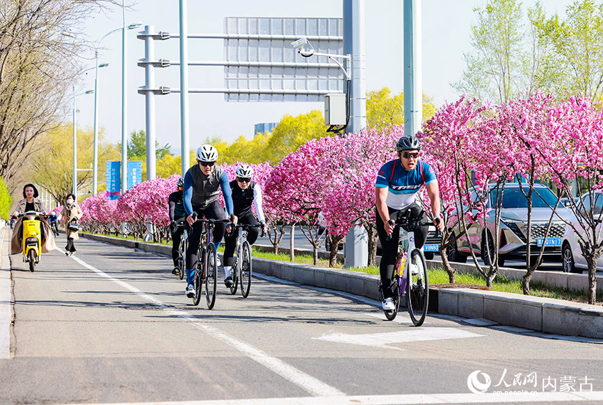 “一路生花”赏春欢乐跑开跑。乐炎摄