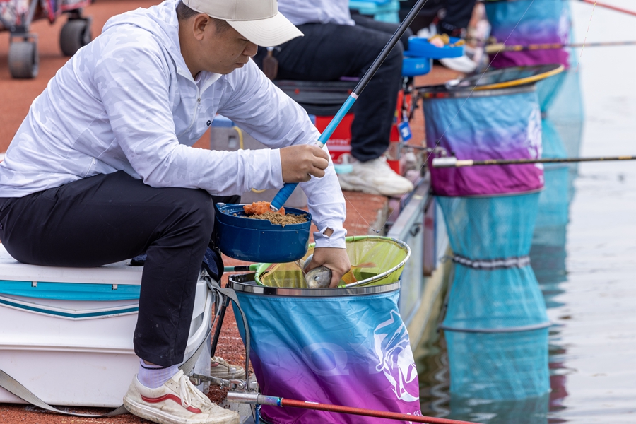 第十三屆泗洪洪澤湖大圓塘釣魚大賽現場。泗洪縣委宣傳部供圖