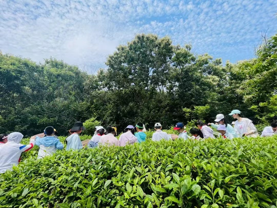 研學團隊在響堂村梔子花種植園內學習。浦口區委宣傳部供圖