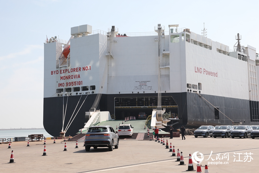 新能源汽车在港口有序集结，准备搭乘货轮出口至巴西。人民网 黄启源摄