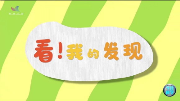 《今日科学》|今日分享：看！我的发现（1）